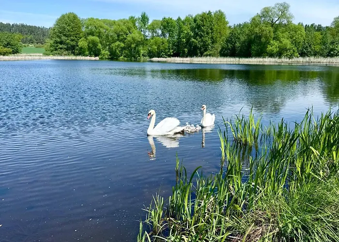 Prázdninový dům Komušín Velky Bor